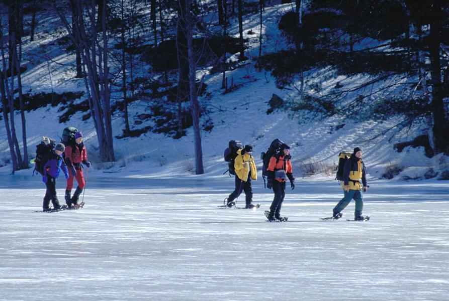 Отель Taboo Muskoka Грейвенхерст Экстерьер фото