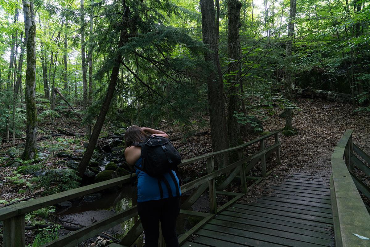 Отель Taboo Muskoka Грейвенхерст Экстерьер фото